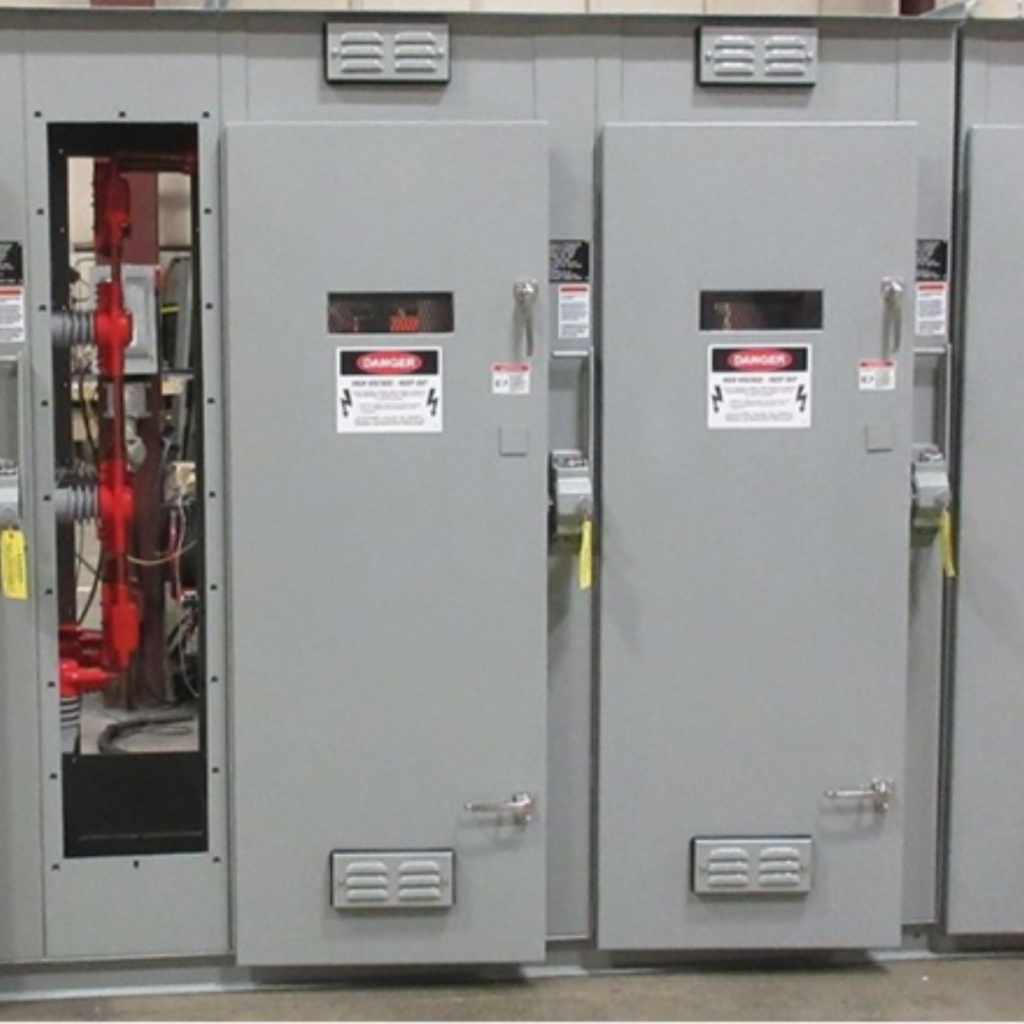 Rex-Website Images (1)