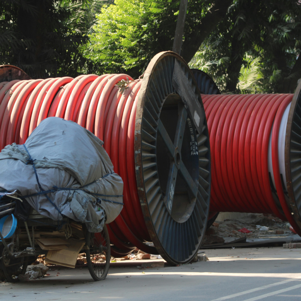 Rex-Website Images (13)