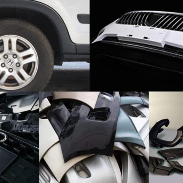 Rex-Website Images (14)