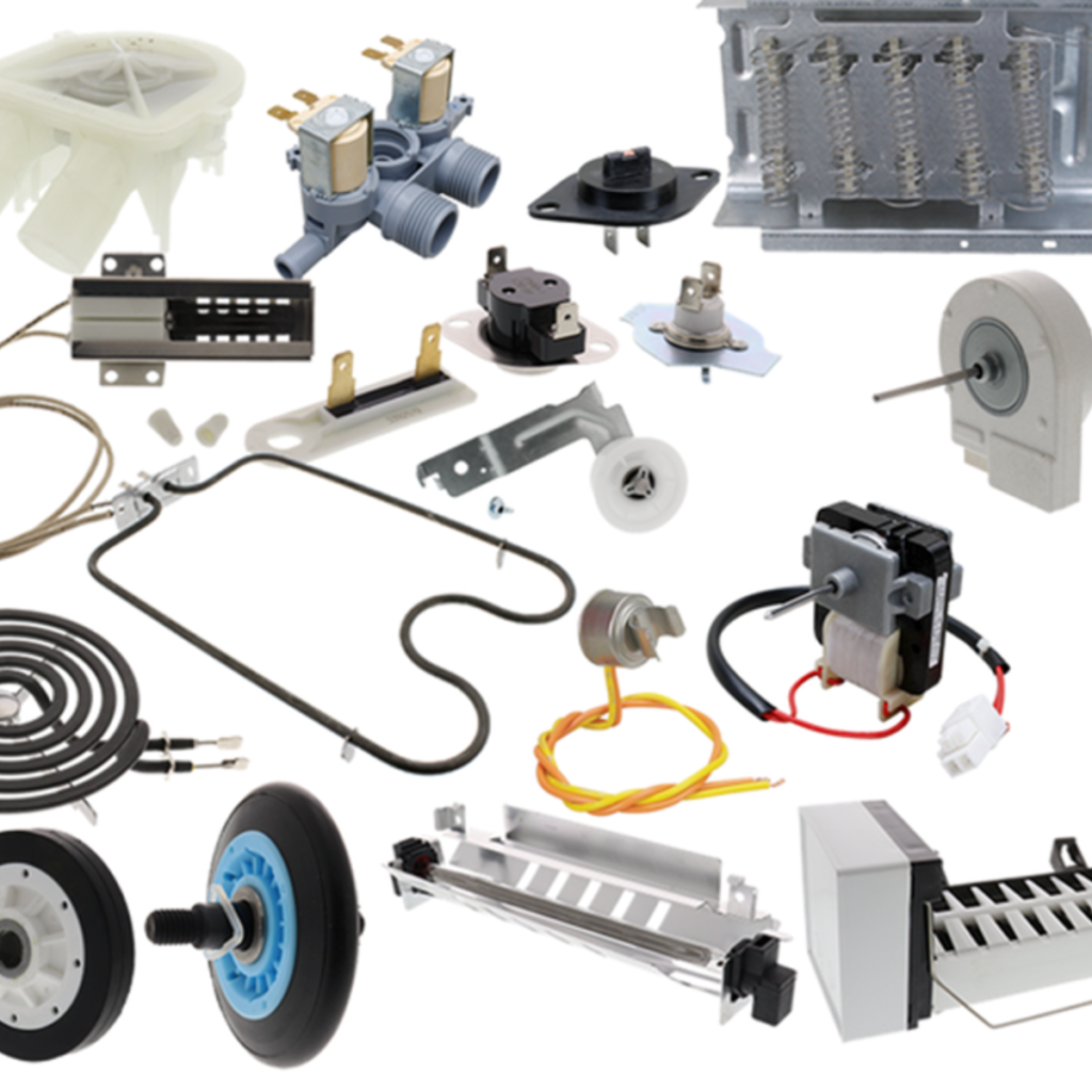 Rex-Website Images (15)