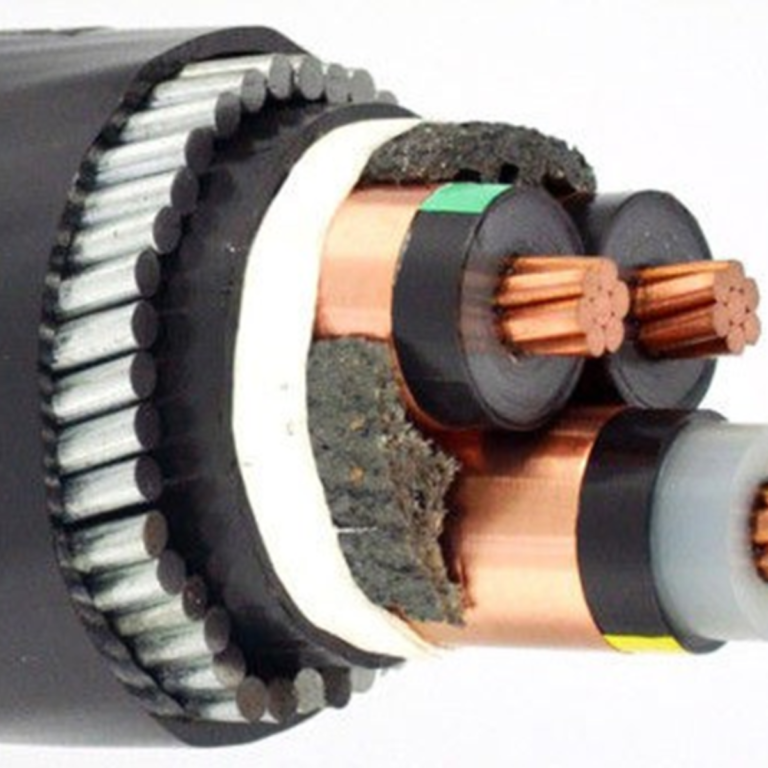 Rex-Website Images (17)