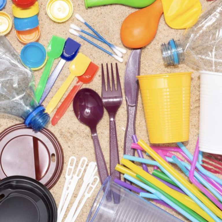 Rex-Website Images (18)