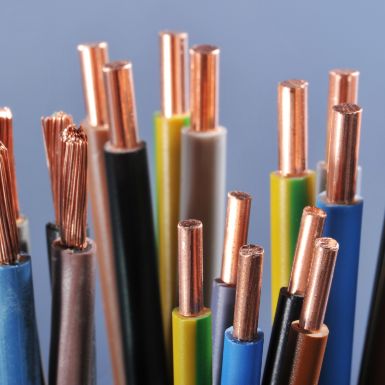 Rex-Website Images (20)