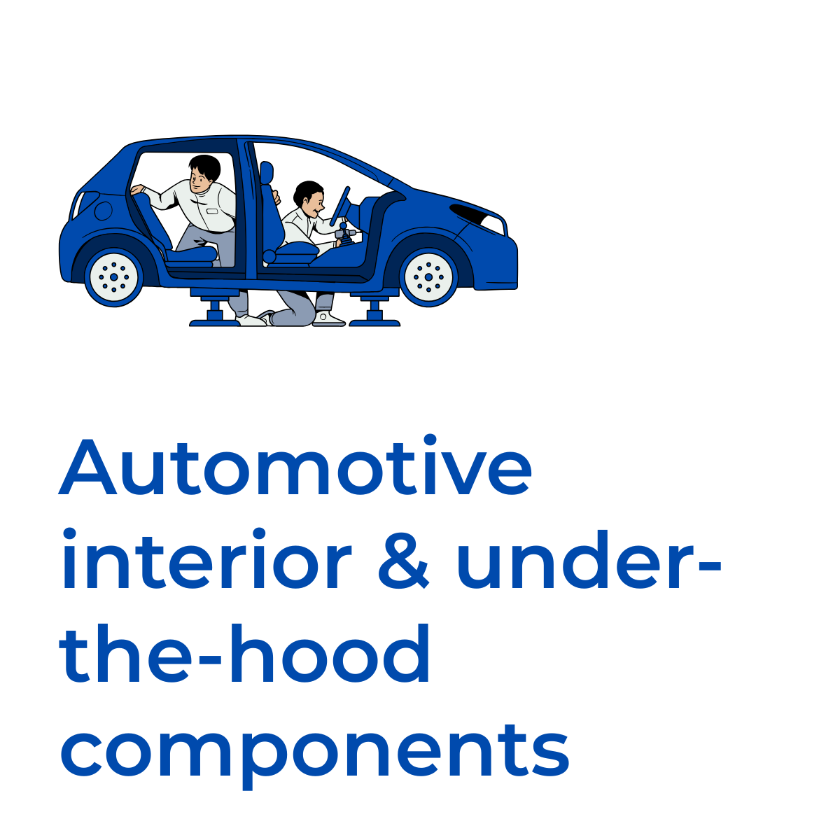 Rex-Website Images (21)