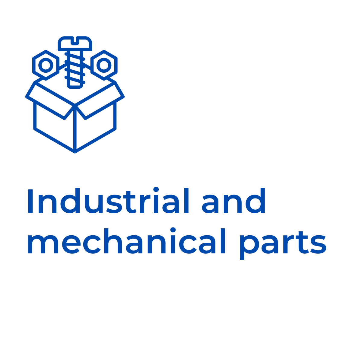 Rex-Website Images (24)