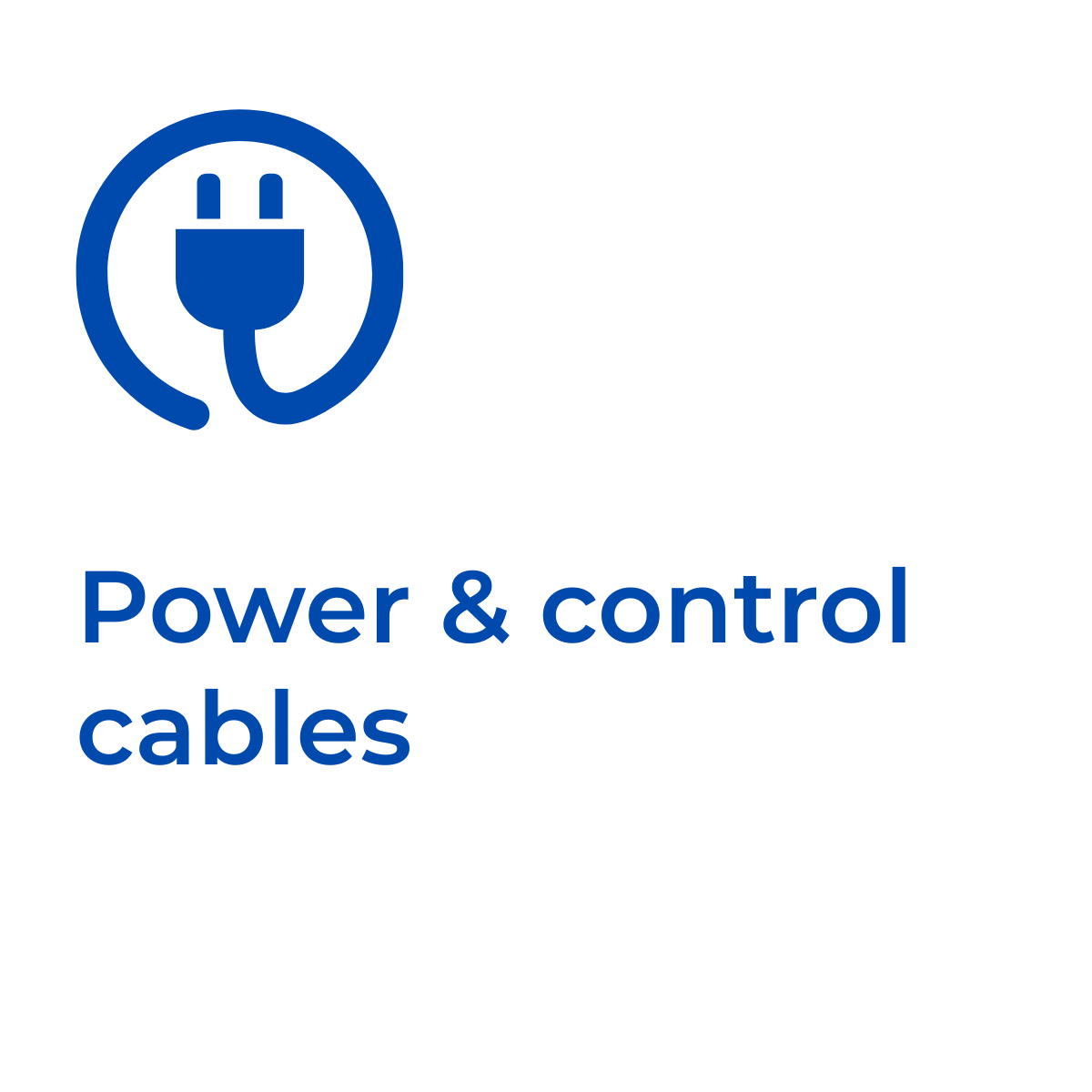 Rex-Website Images (26)