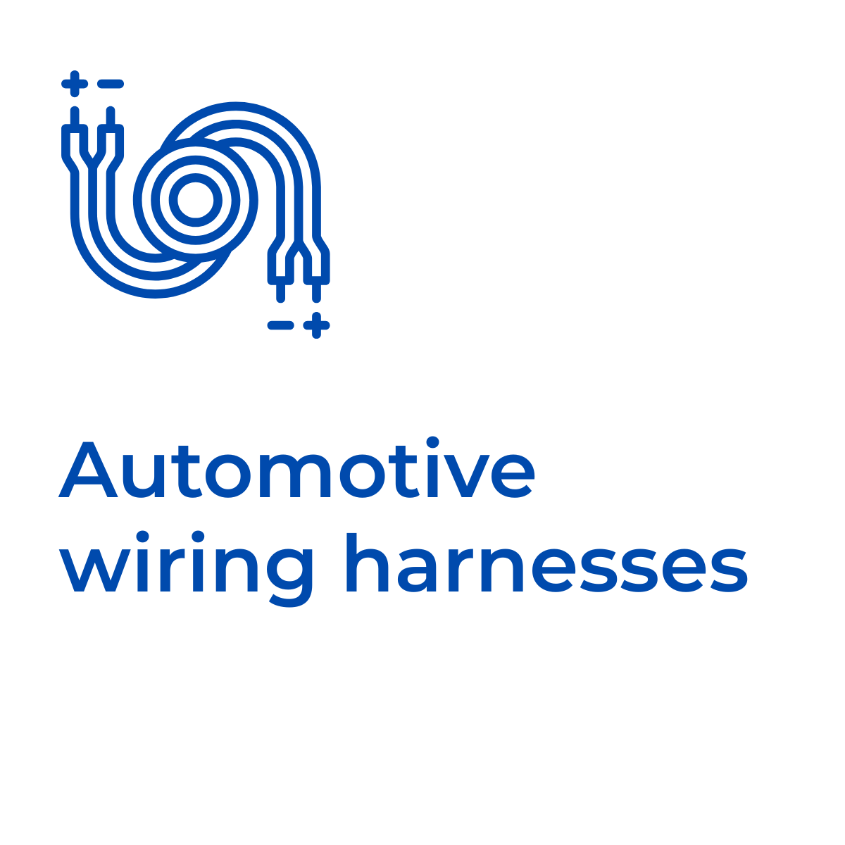 Rex-Website Images (27)