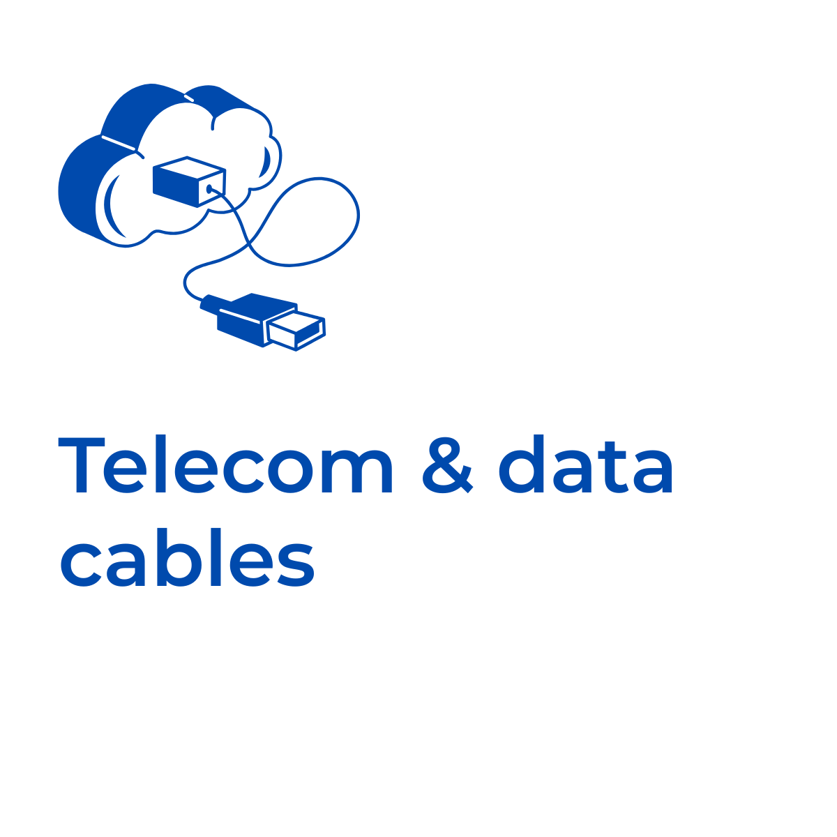 Rex-Website Images (28)