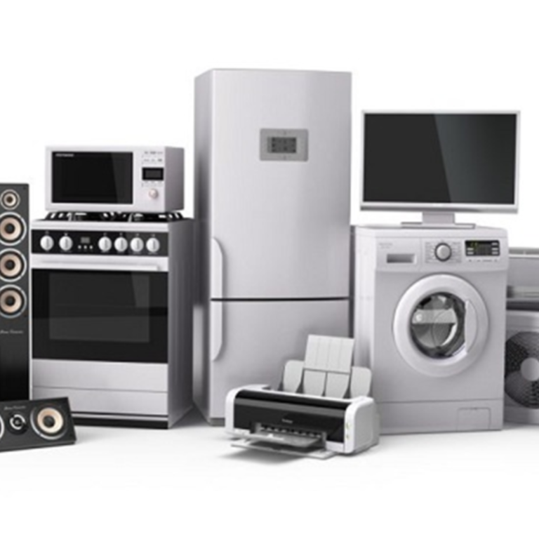 Rex-Website Images (3)