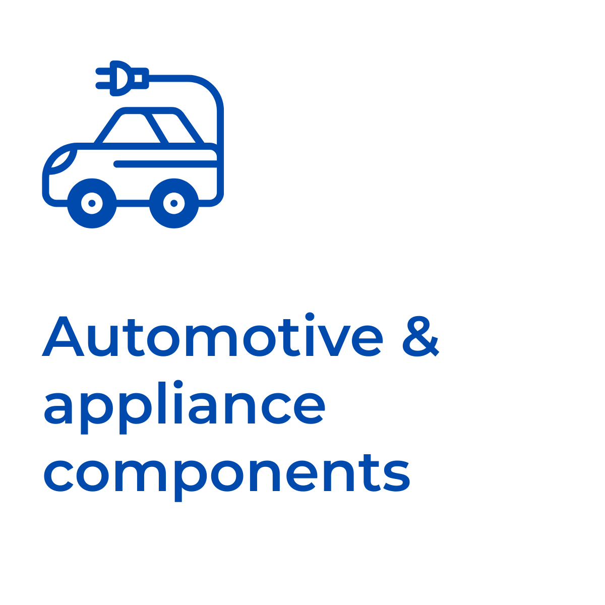 Rex-Website Images (33)