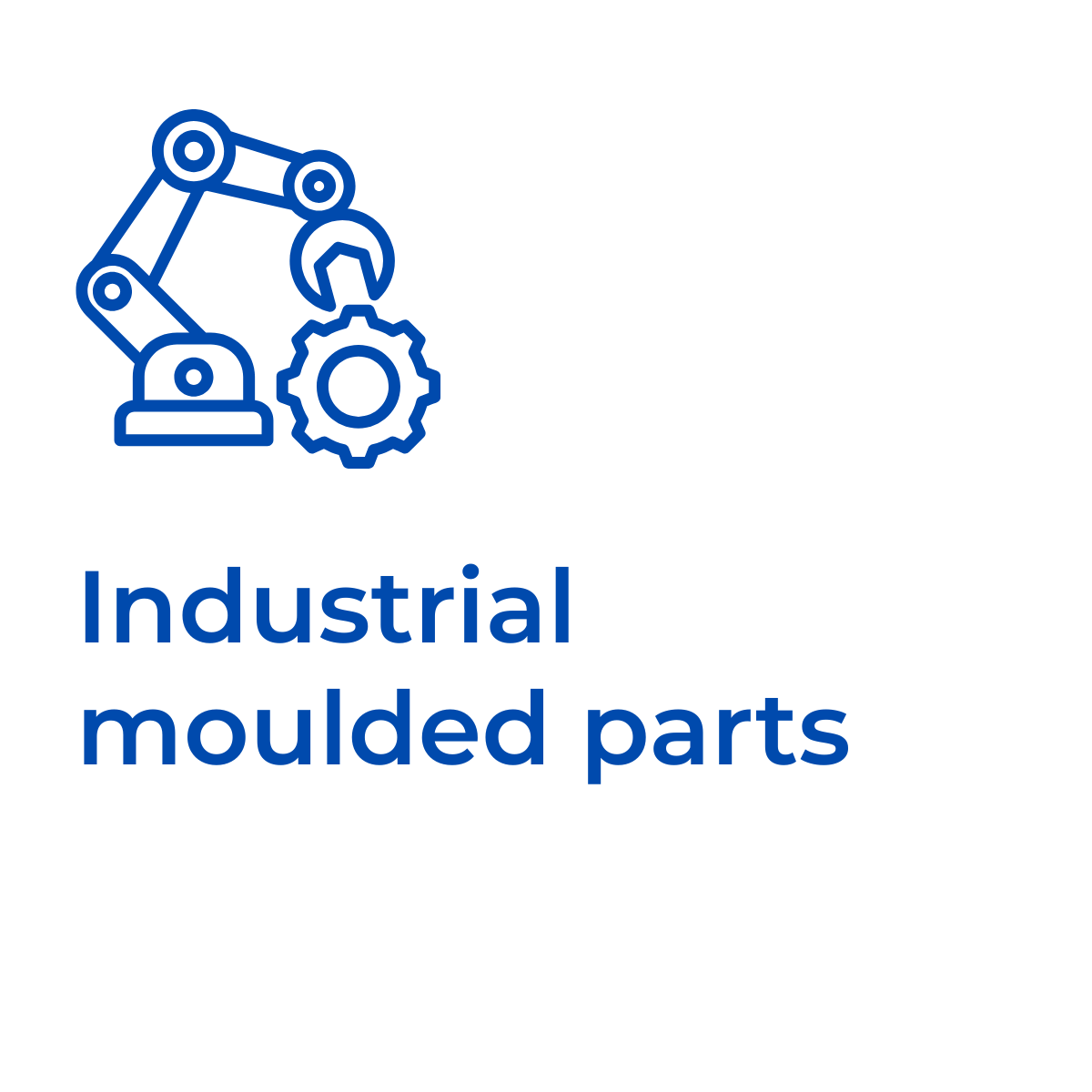 Rex-Website Images (34)