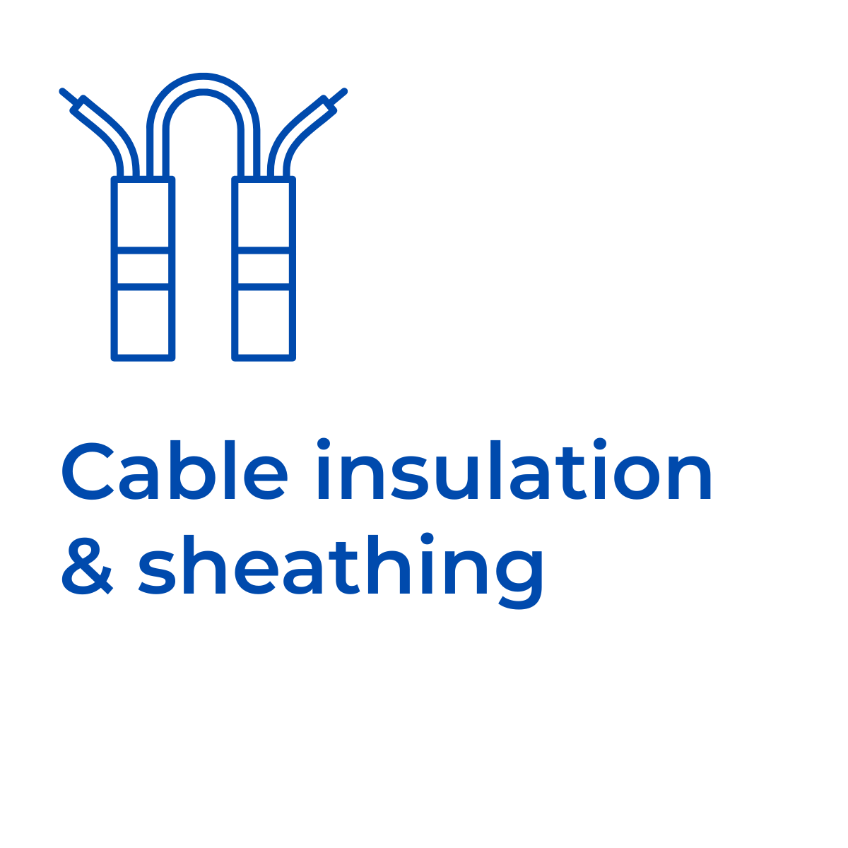 Rex-Website Images (35)