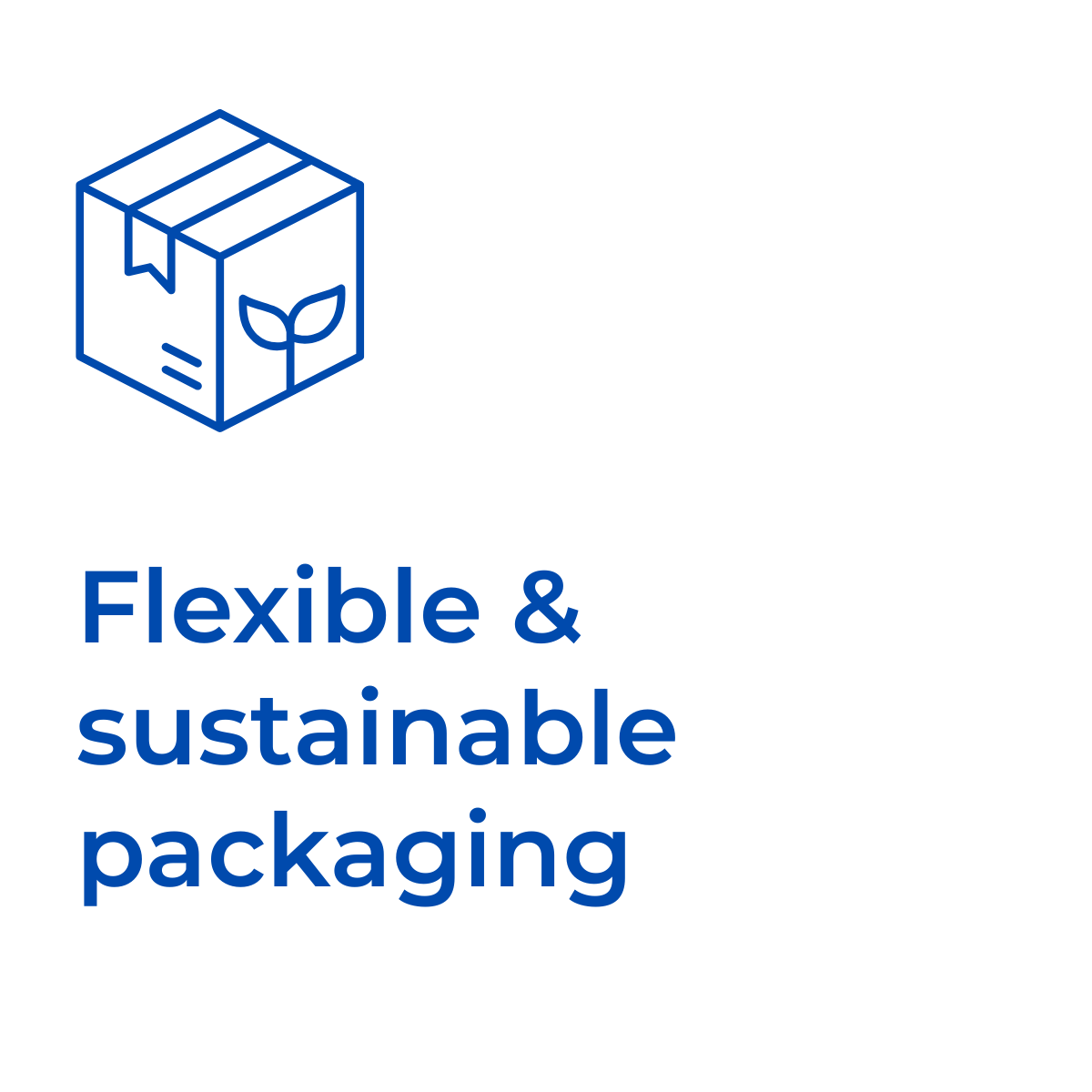 Rex-Website Images (36)