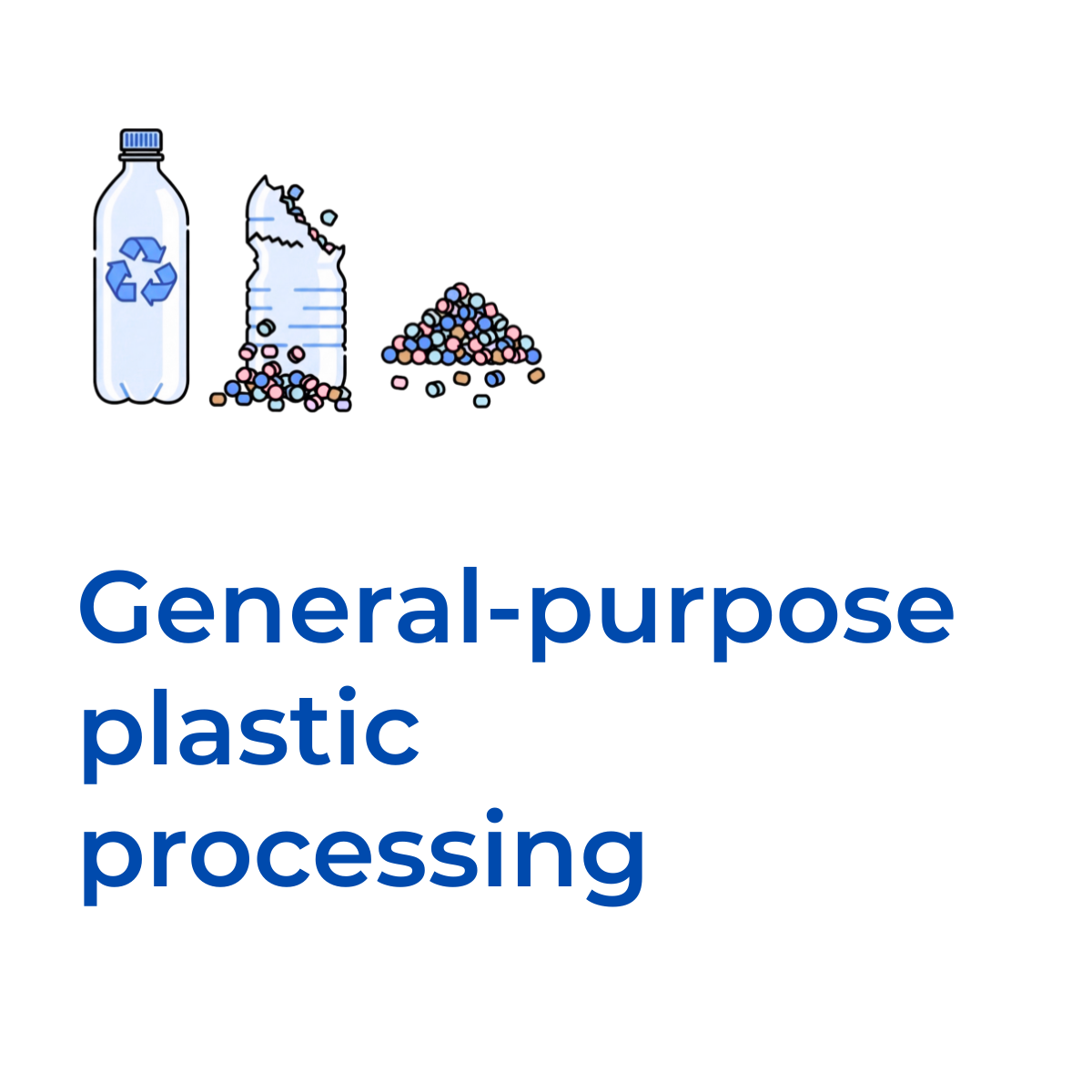 Rex-Website Images (37)