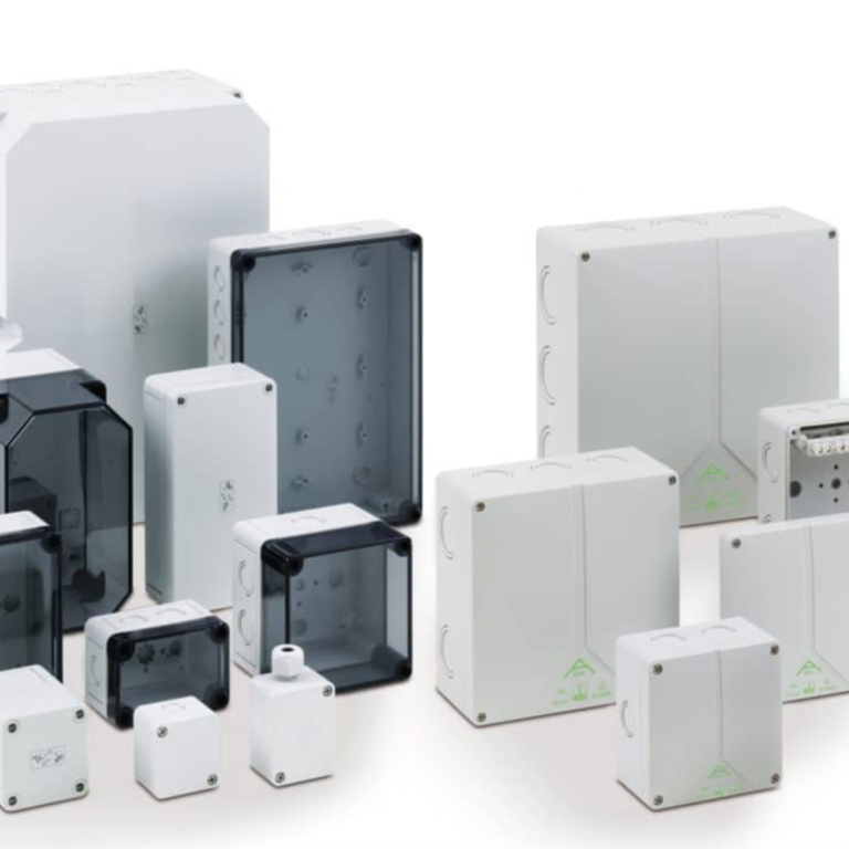 Rex-Website Images (4)