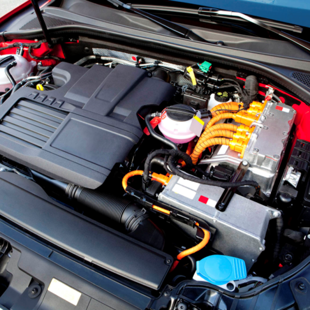 Rex-Website Images (5)