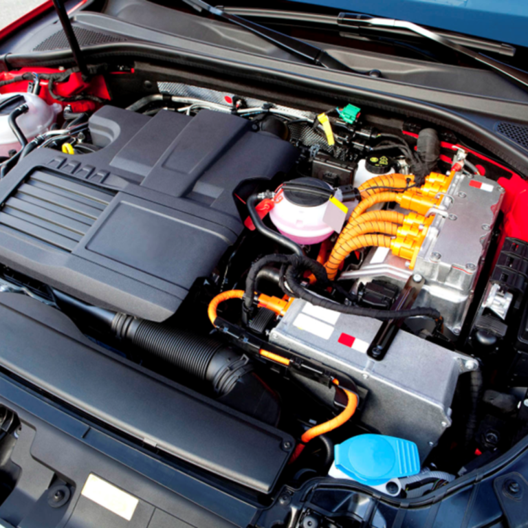 Rex-Website Images (5)