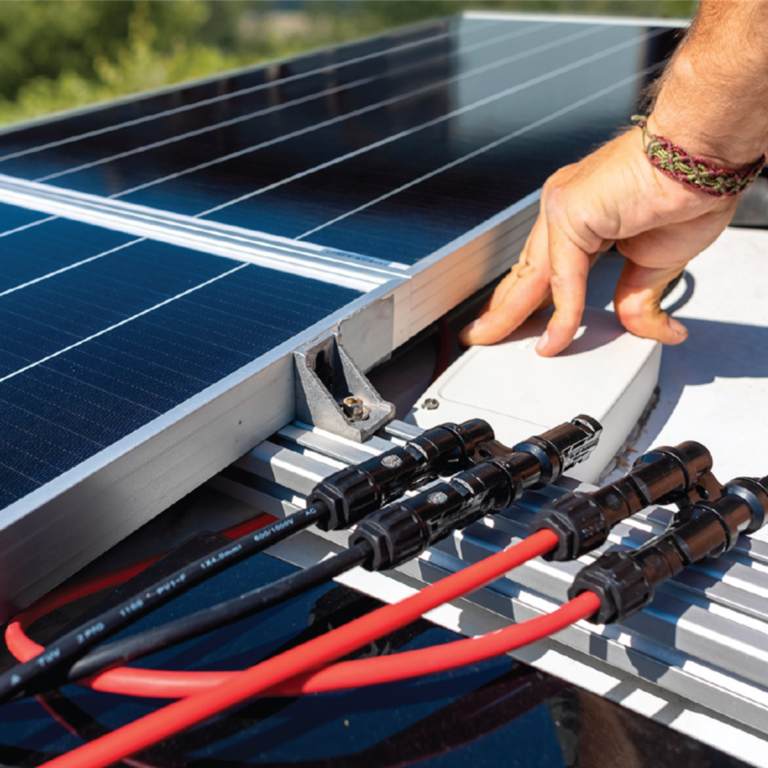 Rex-Website Images (8)