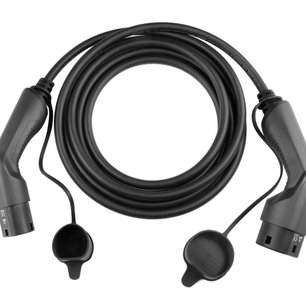 Rex-Website Images (9)